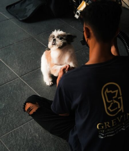 Galeri (35)